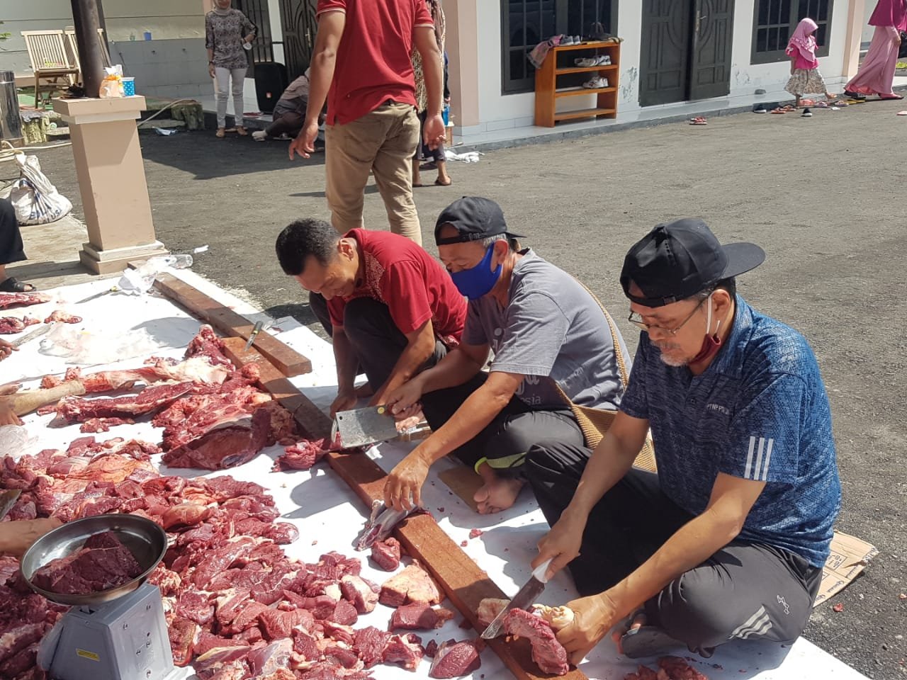 qurban8
